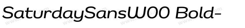 SaturdaySansW00 Bold字体转换